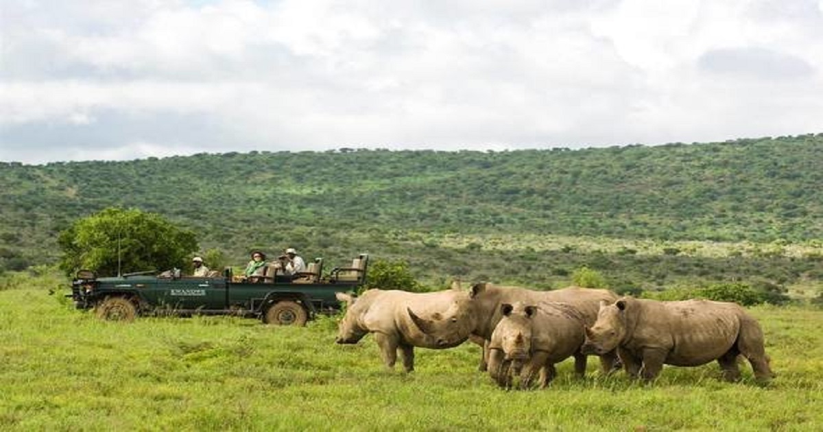 2017 find safari drive