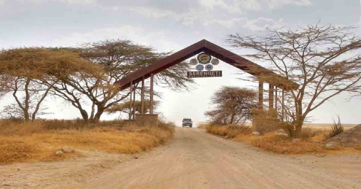2017 safari africa dont be late to camp