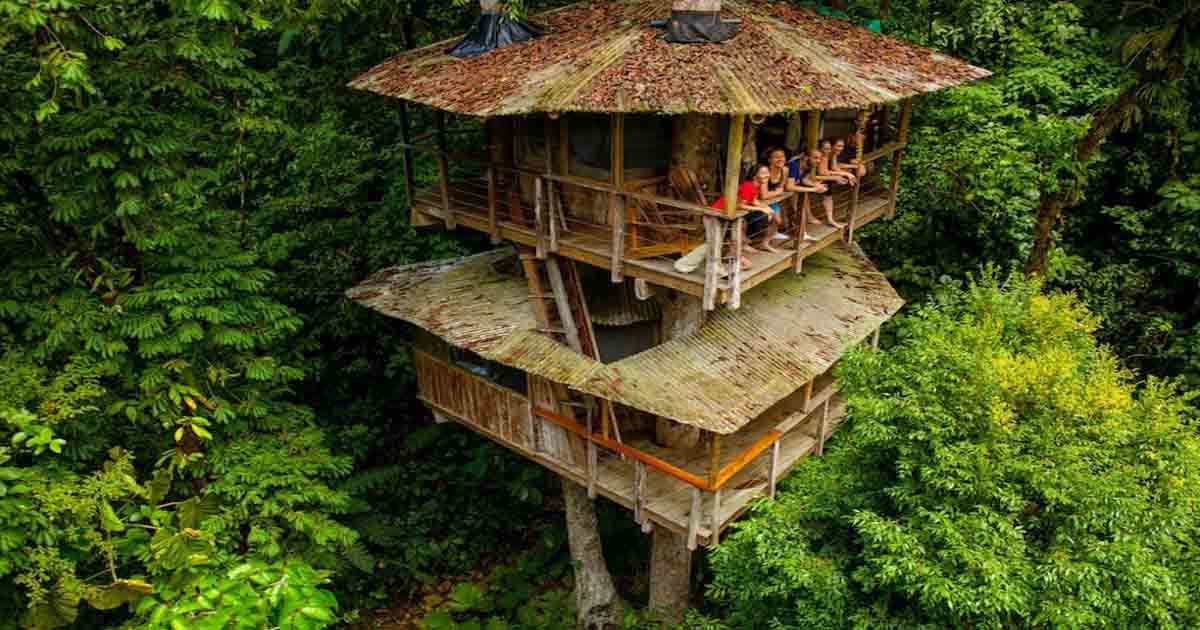 2017 treehouse bellavista